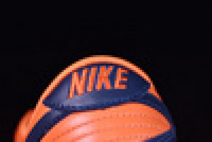 Nike Dunk Low Champ Colors (2020)  CU1727-800