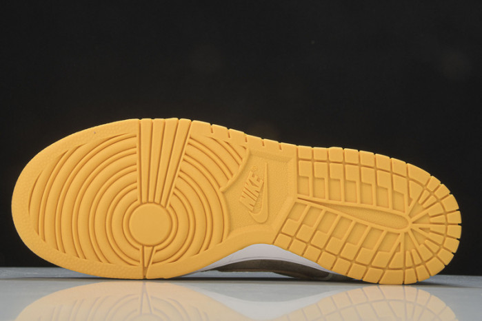 Nike Dunk Low Dusty Olive DH5360-300