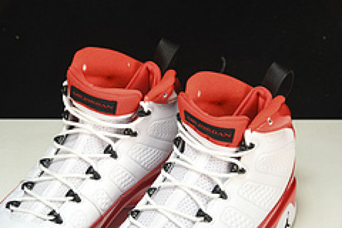 Air Jordan 9 302370-160
