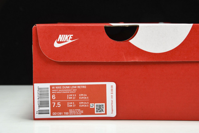 Nike Dunk Low  RETRO DD1391 700