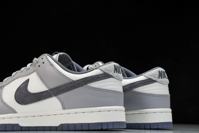Nike Dunk Low FJ4188 100