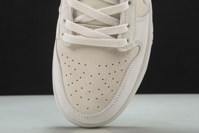 Nike Dunk Low Retro  Prm DD8338-001