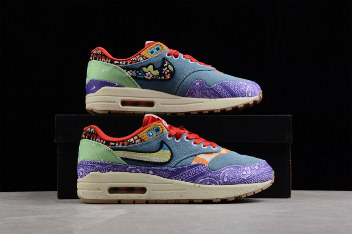 Concepts x Nike Air Max 1 DN1803-500