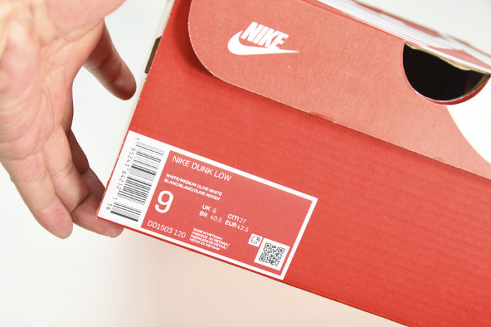 Nike Dunk Low Medium Olive DD1503-120