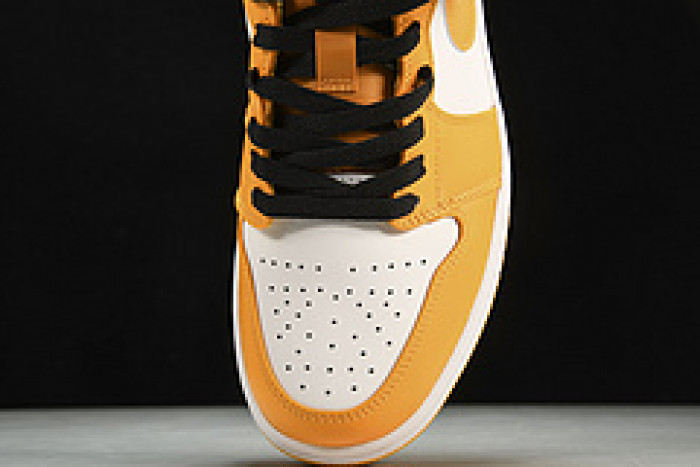 Nike SB Low 553558-701