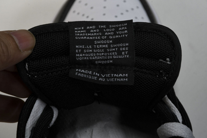 Nike Dunk Low Retro  DD1391-100