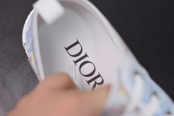 D10R B23 Oblique Low Top Sneakers L00N4