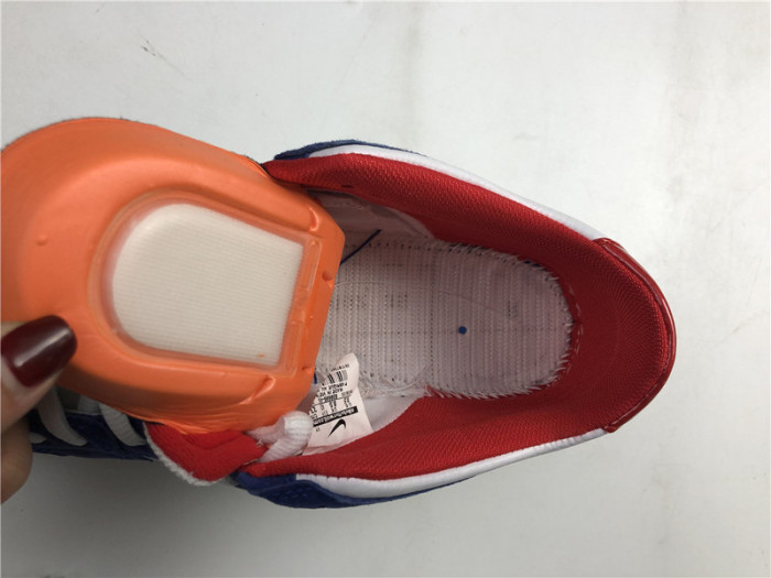 Nike Dunk SB Low Ishod Wair "BMW"  839685-416