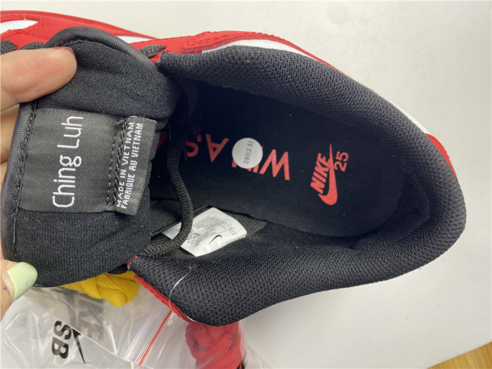 Nike SB Dunk Low 25th years 309242-307