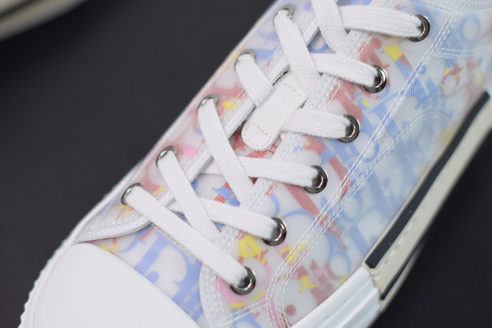 D10R B23 Oblique Low Top Sneakers L00N4